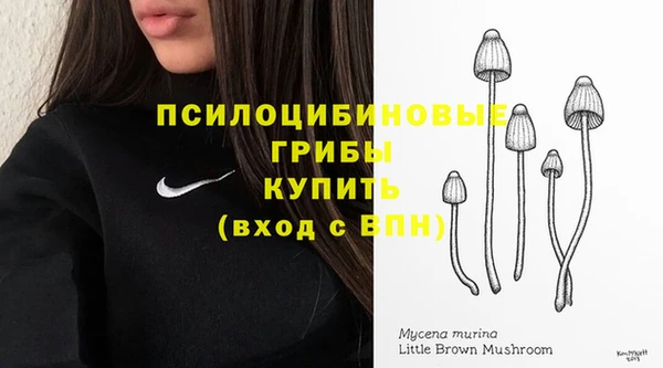 PSILOCYBIN Лихославль